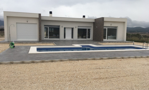 Nouvelle construction - Villa - Pinoso