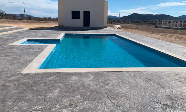 Nouvelle construction - Villa - Pinoso