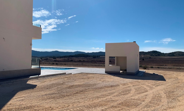 Nouvelle construction - Villa - Pinoso