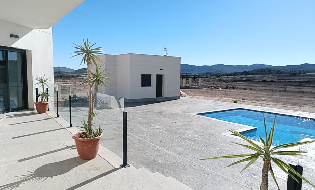 Nouvelle construction - Villa - Pinoso