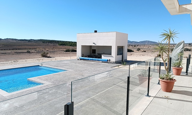 Nouvelle construction - Villa - Pinoso