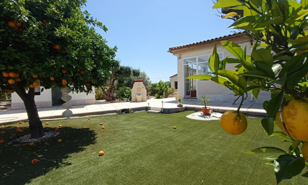 Revente - Finca / Propriété rurale - Albatera