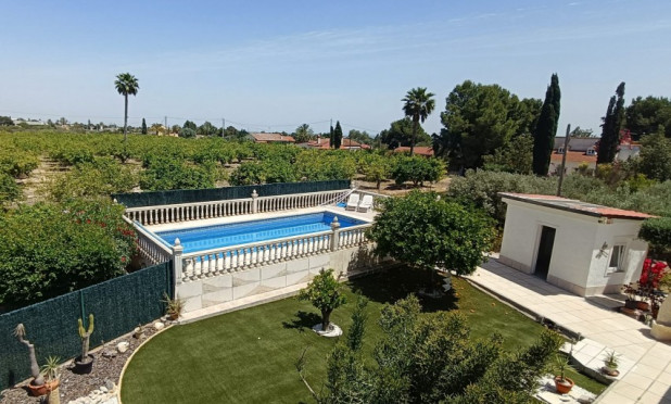 Revente - Finca / Propriété rurale - Albatera