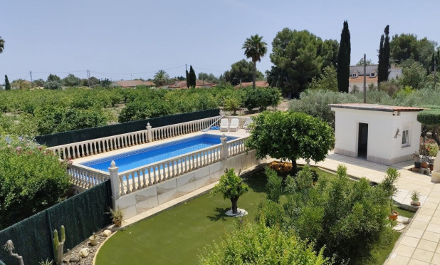 Revente - Finca / Propriété rurale - Albatera