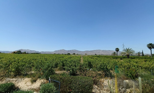 Revente - Finca / Propriété rurale - Albatera