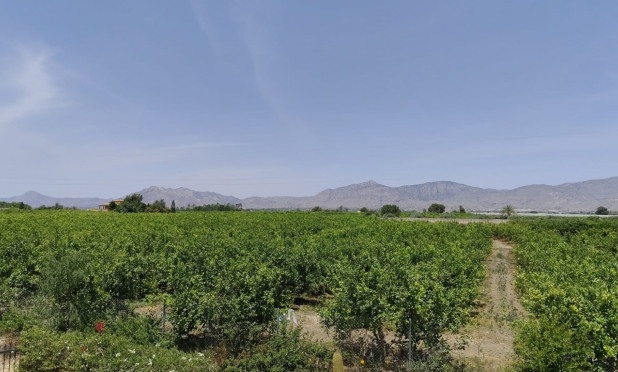 Revente - Finca / Propriété rurale - Albatera