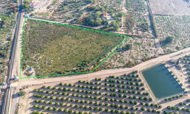 Revente - Parcelle / Terrain - Crevillente - Comunidad valenciana