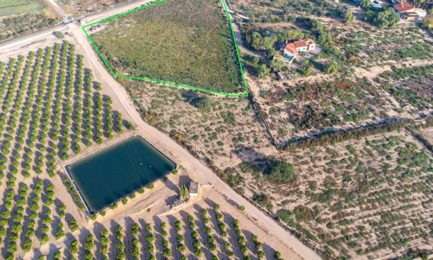 Revente - Parcelle / Terrain - Crevillente - Comunidad valenciana