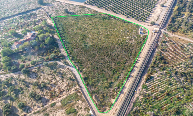 Revente - Parcelle / Terrain - Crevillente - Comunidad valenciana