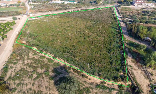 Revente - Parcelle / Terrain - Crevillente - Comunidad valenciana