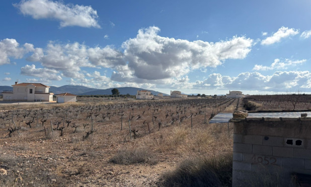 Revente - Parcelle / Terrain - Pinoso - el Pinós / Pinoso