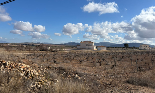 Revente - Parcelle / Terrain - Pinoso - el Pinós / Pinoso