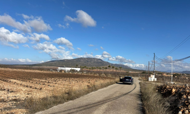 Revente - Parcelle / Terrain - Pinoso - el Pinós / Pinoso