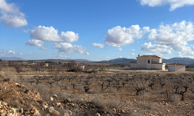 Revente - Parcelle / Terrain - Pinoso - el Pinós / Pinoso