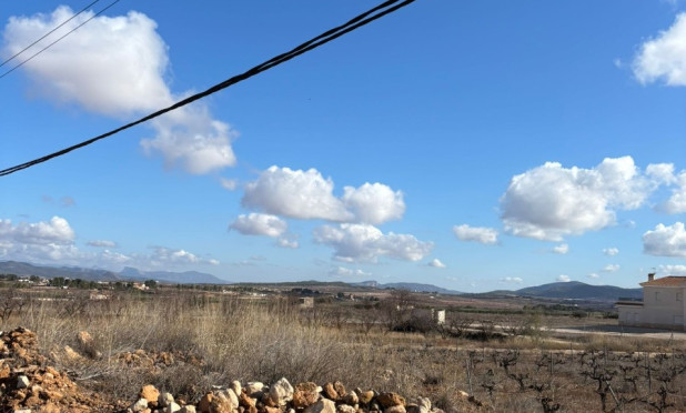 Revente - Parcelle / Terrain - Pinoso - el Pinós / Pinoso