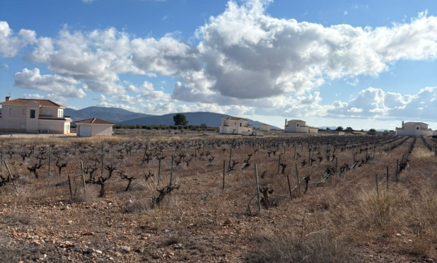 Revente - Parcelle / Terrain - Pinoso - el Pinós / Pinoso