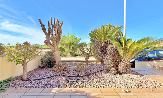 Reventa - Adosado - Orihuela - Orihuela Costa