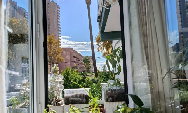 Resale - Apartment / flat - Benidorm - Levante