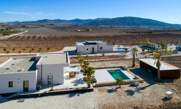 Revente - Finca / Propriété rurale - Pinoso - Campo