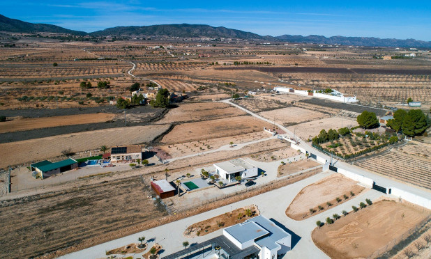 Revente - Finca / Propriété rurale - Pinoso - Campo