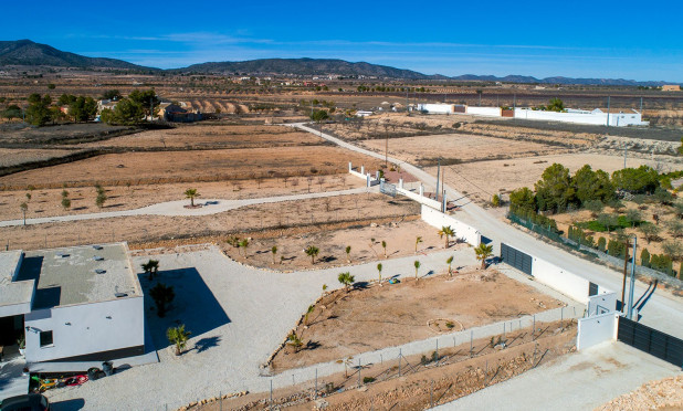 Revente - Finca / Propriété rurale - Pinoso - Campo