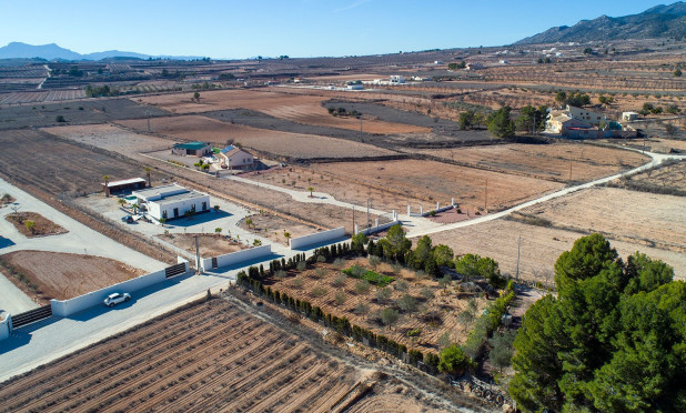 Revente - Finca / Propriété rurale - Pinoso - Campo