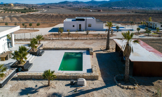 Revente - Finca / Propriété rurale - Pinoso - Campo