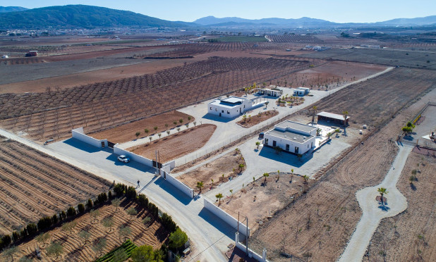 Revente - Finca / Propriété rurale - Pinoso - Campo