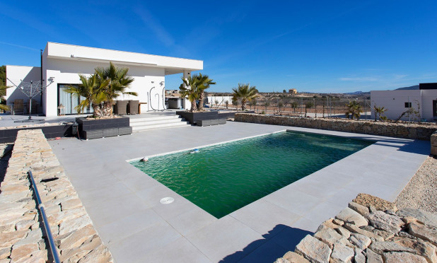 Revente - Finca / Propriété rurale - Pinoso - Campo