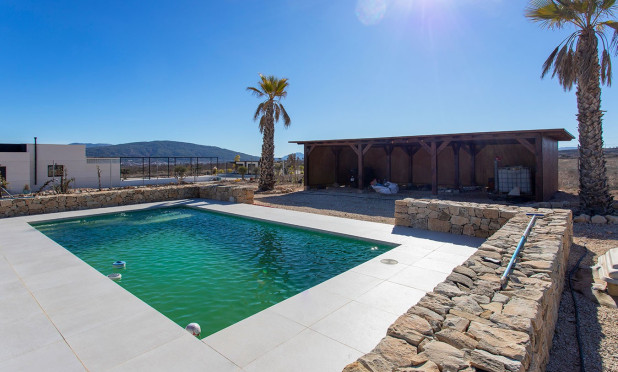 Revente - Finca / Propriété rurale - Pinoso - Campo