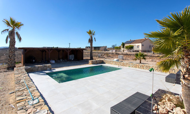 Revente - Finca / Propriété rurale - Pinoso - Campo