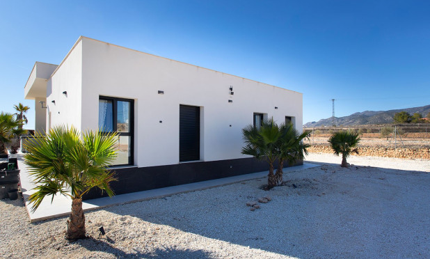 Revente - Finca / Propriété rurale - Pinoso - Campo