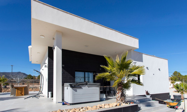 Revente - Finca / Propriété rurale - Pinoso - Campo