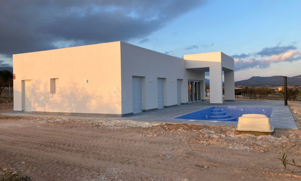 Nieuwbouw Woningen - Villa - Pinoso