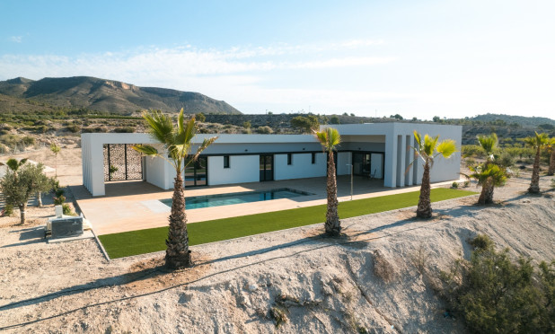 Nowy budynek - Villa - Pinoso