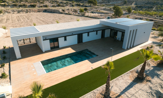 Nowy budynek - Villa - Pinoso