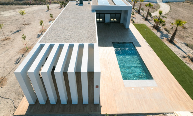 Nowy budynek - Villa - Pinoso