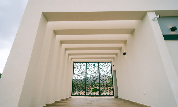 Nowy budynek - Villa - Pinoso