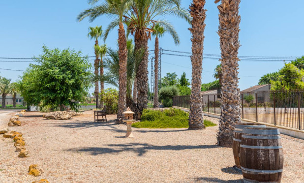 Revente - Finca / Propriété rurale - Catral