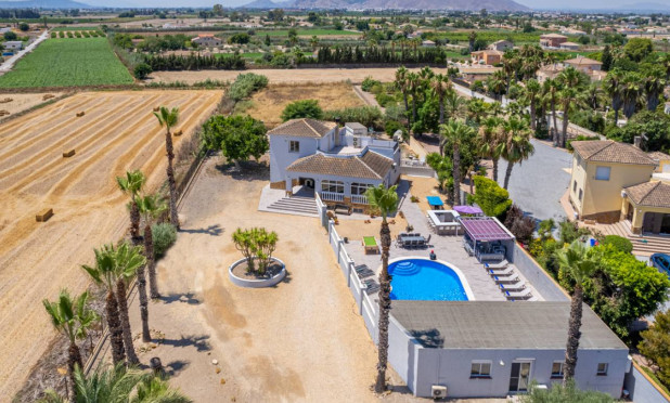 Revente - Finca / Propriété rurale - Catral