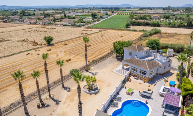 Revente - Finca / Propriété rurale - Catral