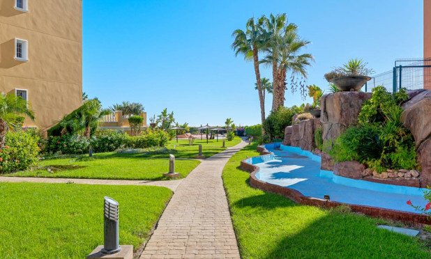 Herverkoop - Appartement / flat - Cabo Roig