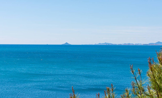 Herverkoop - Appartement / flat - Cabo Roig