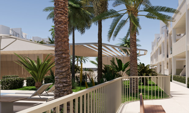 New Build - Apartment / flat - Torre Pacheco - Torre-pacheco