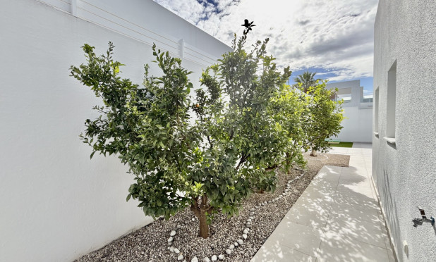 Obra nueva - Villa - Binijófar