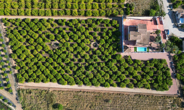 Reventa - Finca / Casa de Campo - Orihuela