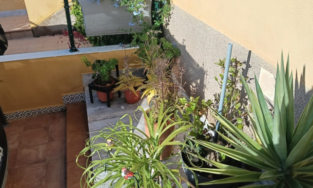 Odsprzedaż - Mieszkanie w bloku - Montesinos - La Herrada