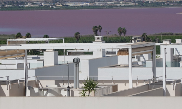 Resale - Penthouse - Torrevieja - Los Balcones