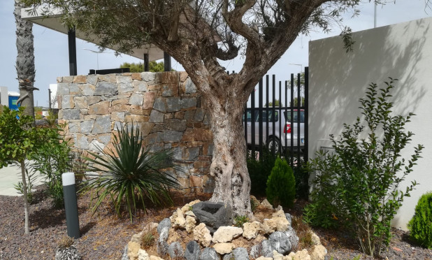 Nieuwbouw Woningen - Herenhuis - Torrevieja - torrevieja