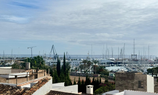 Reventa - Ático - Palma